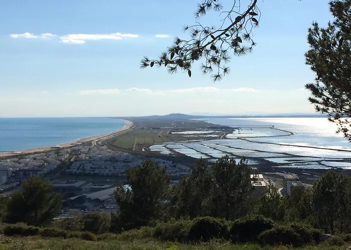 דירה Pour 4 En Bord De A Avec Parking Privatif - Fr-1-338-508 Sète